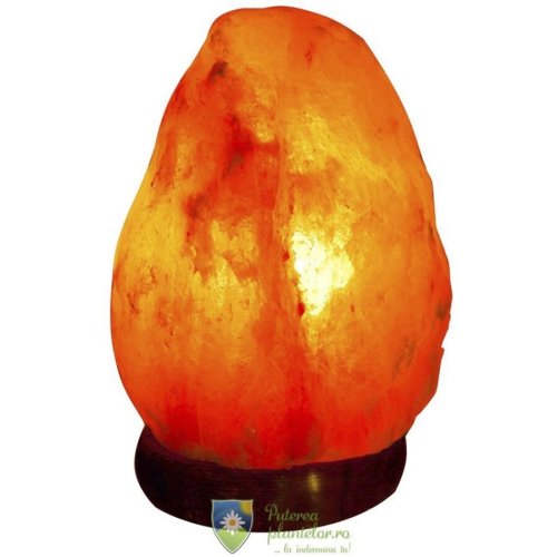 Monte - Lampa de sare de himalaya 2-3 kg