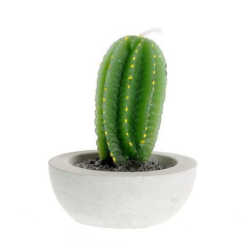 Meli Melo - Lumanare forma cactus