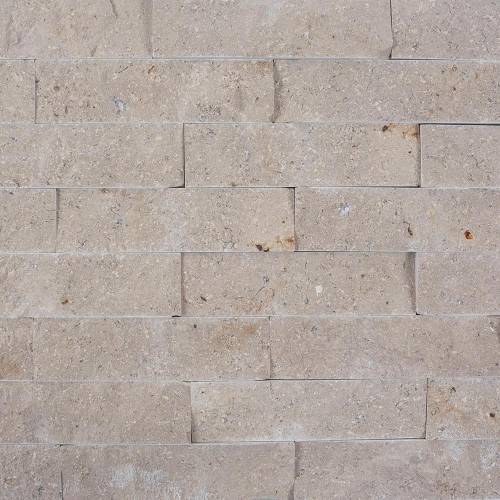 Piatraonline - Limestone astoria scapitata 4 x 15 cm