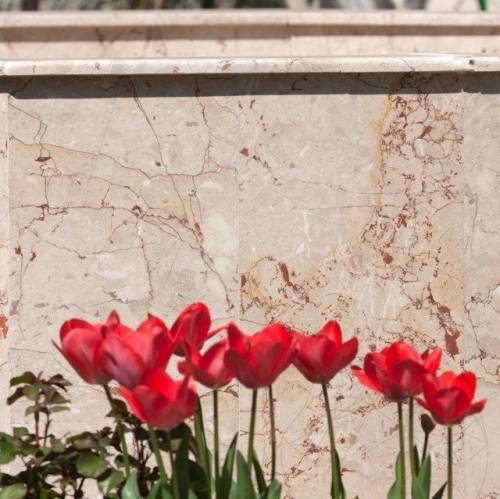 Piatraonline - Marmura rosalia beige polisata 60 x 30 x 2cm