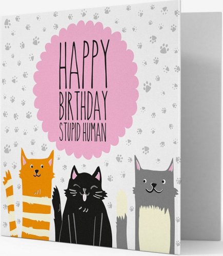 Felicitare - Cats - Happy Birthday Stupid Human