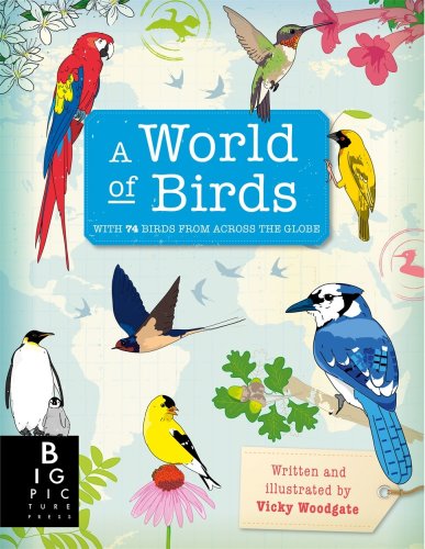Templar Publishing - A world of birds | vicky woodgate