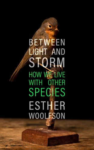 Between Light and Storm | Esther Woolfson