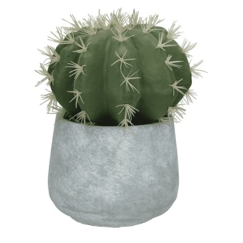Cactus artificial | Pomax