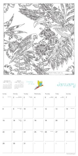 Calendar 2017 - secret places: adventures in ink and imagination | workman publishing