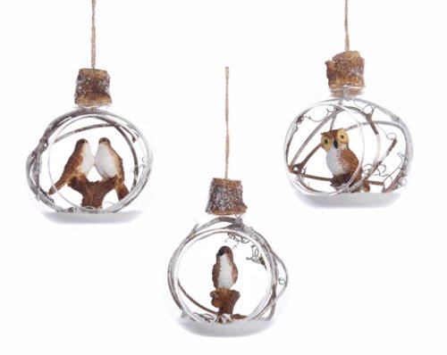 Glob - Glass Poly Bird Inside - Branches, mai multe modele | Kaemingk