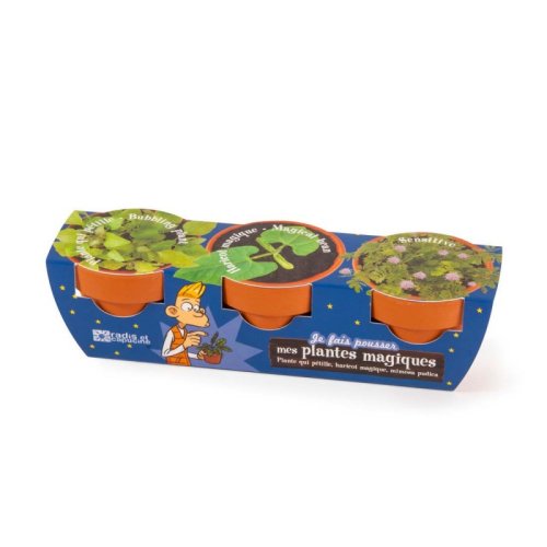 Kit cu 3 ghivece - Plante Magice - Mimoza, Vrej de Fasole, Bubbling Plant | Radis et Capucine