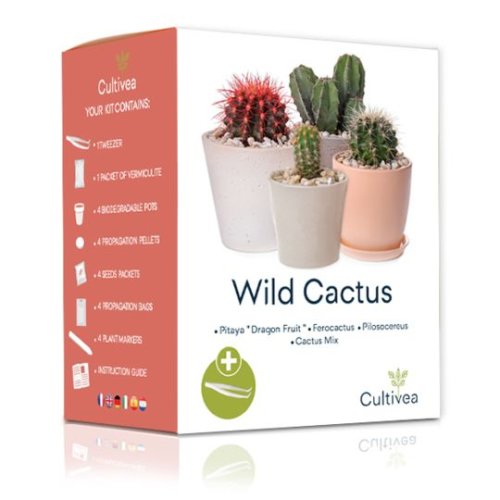 Kit pentru plante - 4 tipuri de cactus | Cultivea