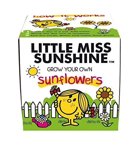 Kit pentru plante - Little Miss Sunshine - Grow your own sunflowers | Gift Republic 