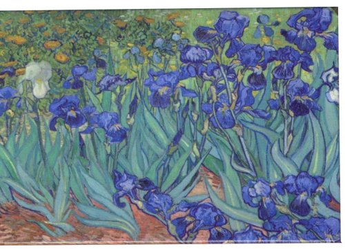 Magnet - Vincent Van Gogh Les Iris 1889 | Cartexpo