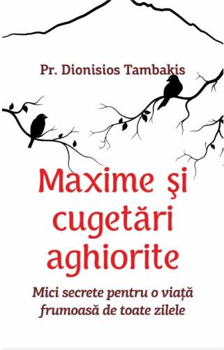 Maxime si cugetari aghiorite | Dionisios Tambakis