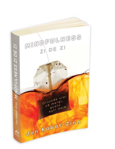 Mindfulness zi de zi | Jon Kabat - Zinn