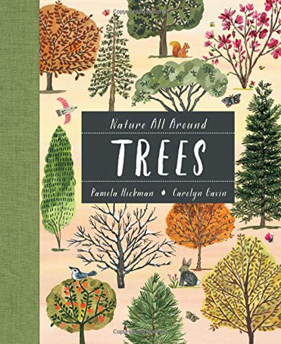 Nature all around: trees | pamela hickman