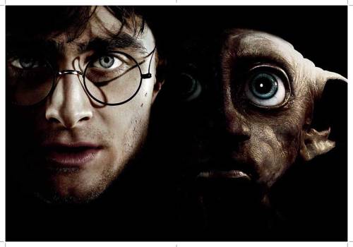 Poster cu 2 fete - Harry Potter Definitive Movie - mai multe modele | Insight Editions
