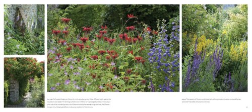 National Trust Books - Secret gardens of the national trust | claire masset