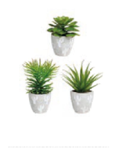Set 3 plante decorative-Philo | Sema Design