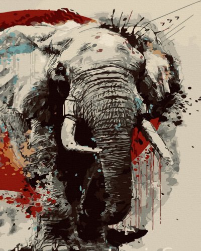Set pictura pe numere - Elefant India | Acuarello