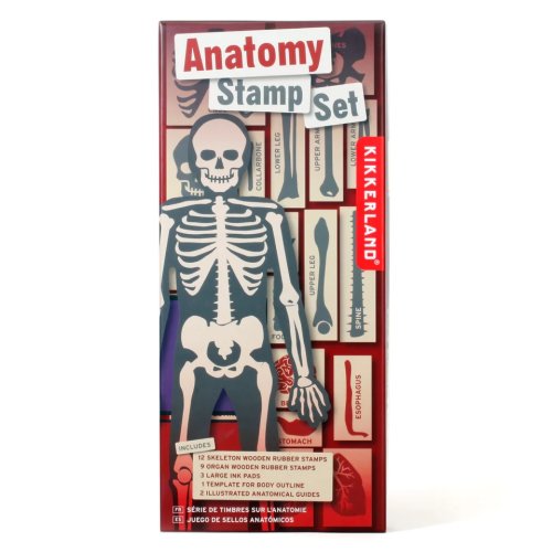 Set stampile - Anatomy Stamp Set | Kikkerland