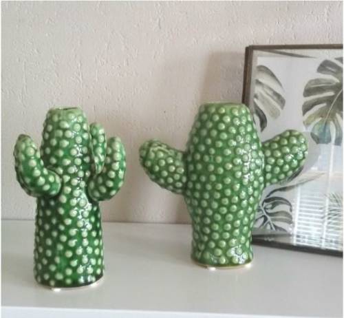 Vaza - cactus mini - doua modele | serax