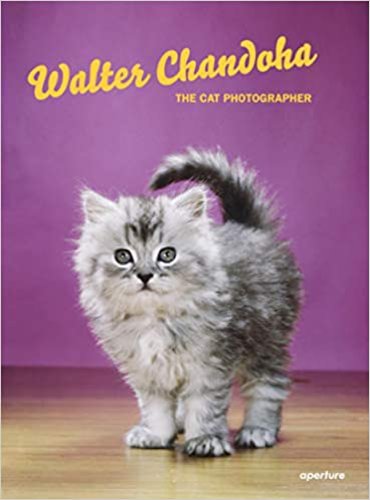 Walter Chandoha: The Cat Photographer | Walter Chandoha, Various Authors