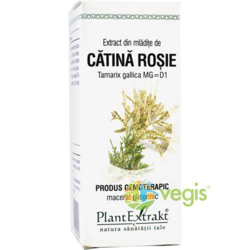 Plantextrakt - Extract de catina rosie (tamarix galica) 50ml