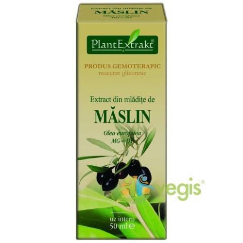 Plantextrakt - Extract mladite maslin 50ml