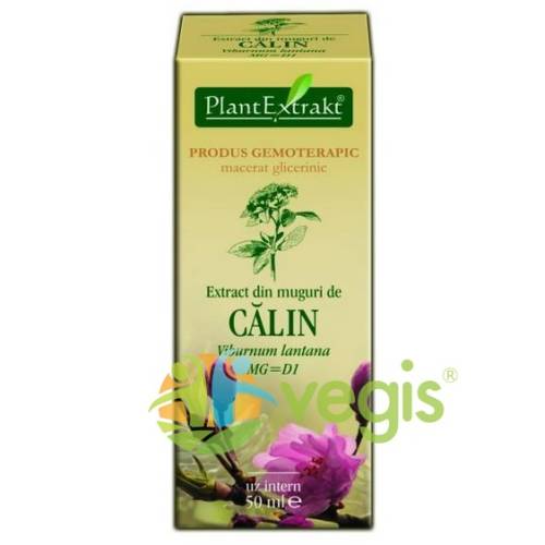 Plantextrakt - Extract muguri calin 50ml