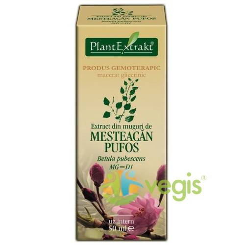 Plantextrakt - Extract muguri mesteacan pufos 50ml
