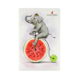 Caiet activitati Fruity Scooty Elephant