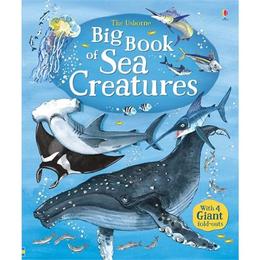 Carte despre animalele marine Big book of Sea Creatures Usborne