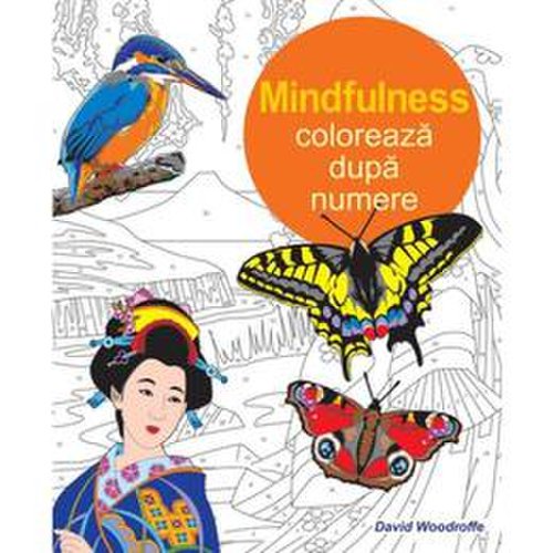 Mindfulness: Coloreaza dupa numere, editura Didactica Publishing House