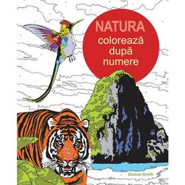 Natura: Coloreaza dupa numere, editura Didactica Publishing House