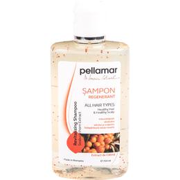 Sampon Regenerant Extract de Catina Pellamar, 250 ml