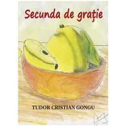Secunda de gratie - Tudor Cristian Gongu, editura Smart Publishing