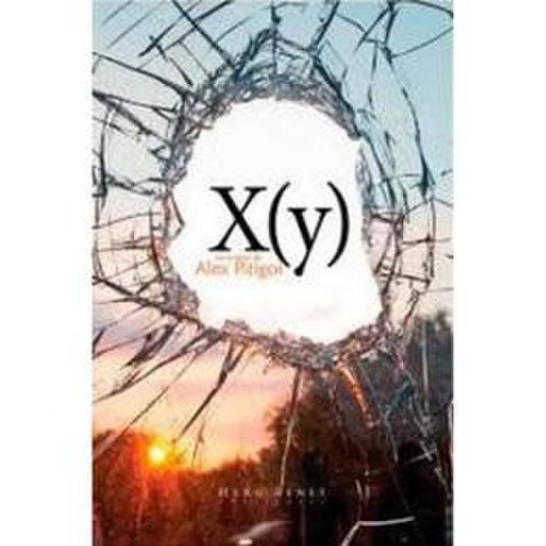 X (y) - alex pitigoi, editura herg benet
