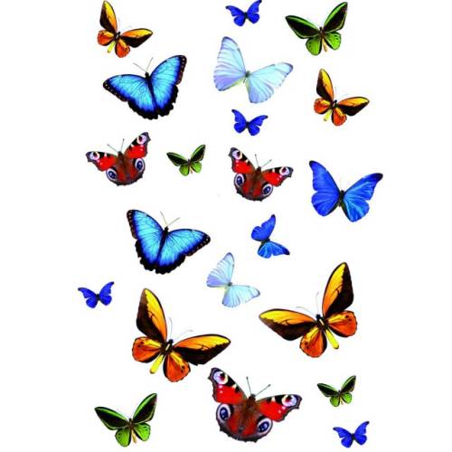 Sticker static decorativ Butterfly 23x34 cm (21 fluturas) cod 34013
