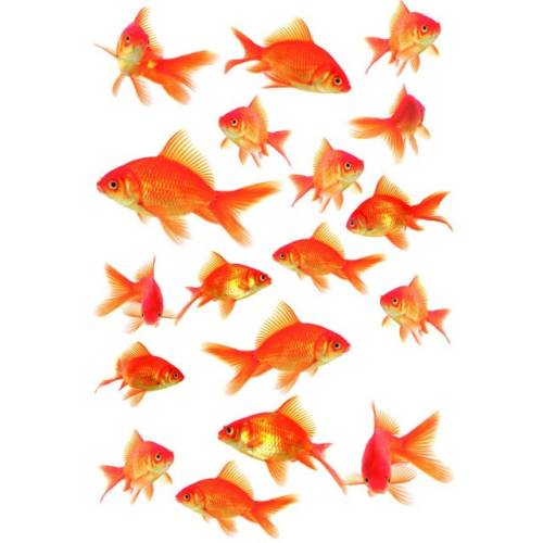 Sticker static decorativ Fish 15x23.5 cm (18 pesti) cod 34017