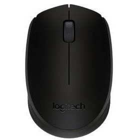 Logitech - Mouse wireless b170