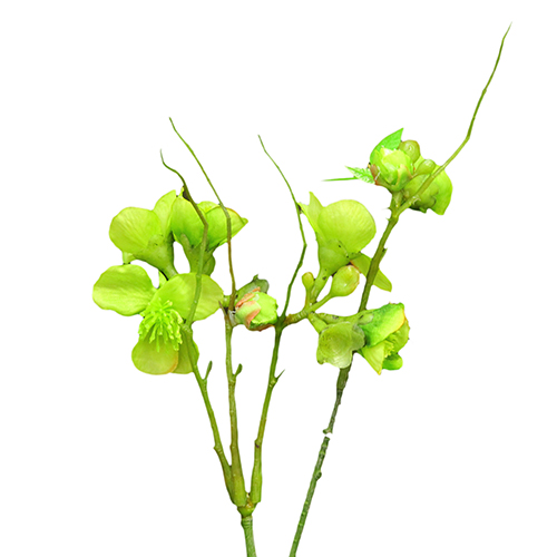 Floare Blossom Green 48 cm