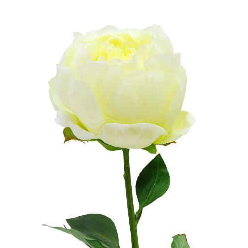 Floare Bujor galben 51 cm