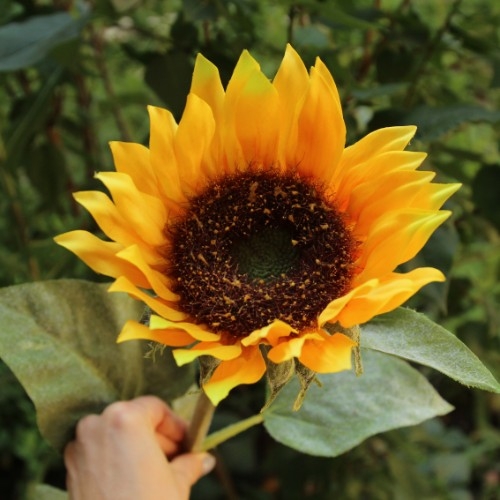 Floare decorativa Sunflower 86 cm