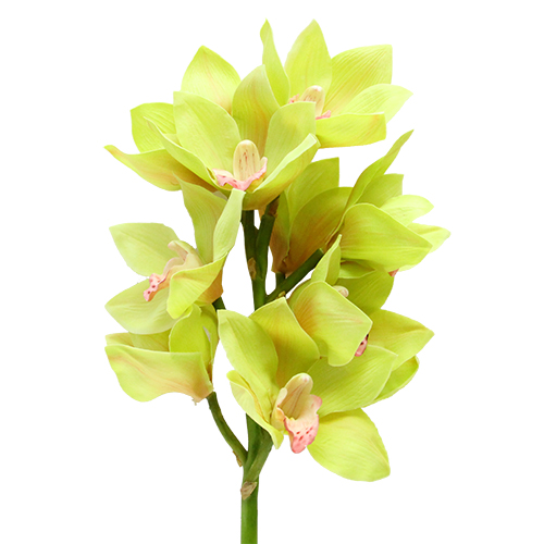 Floare Orhidee galbena 59 cm