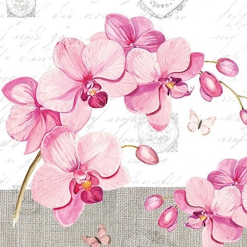 Servetele Orchids Love 33 cm