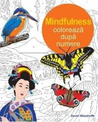 Mindfulness Coloreaza dupa numere
