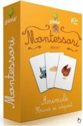 Montessori - Asocieri Animale hrana si adapost