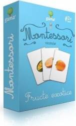 Montessori - vocabular fructe exotice