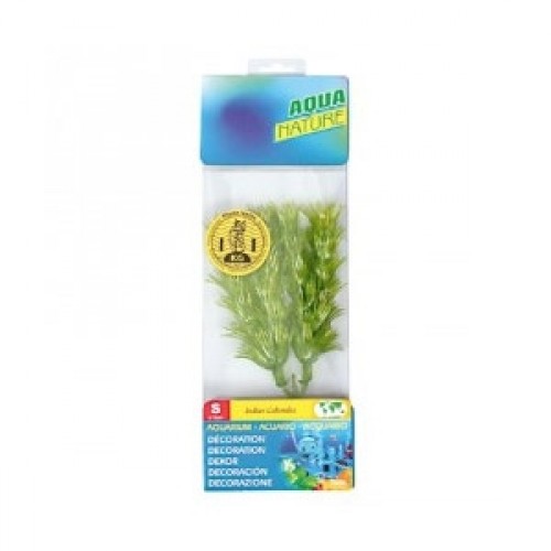 Actizoo - Planta acvariu 20 cm