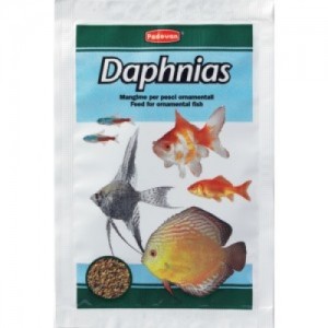 Plic Daphnias 5 gr