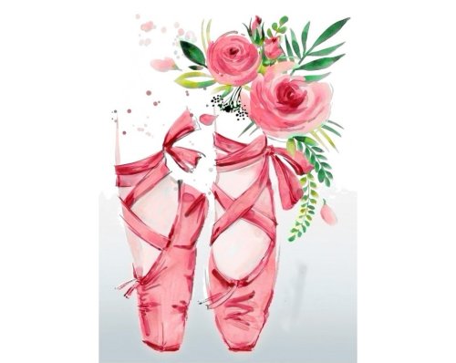 Tablou cu diamante - Pantofi de balerină (27 x 38 cm)