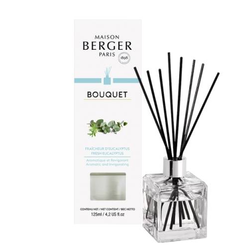 Maison Berger - Difuzor parfum camera berger bouquet parfume cube fraicheur d\'eucalyptus 125ml
